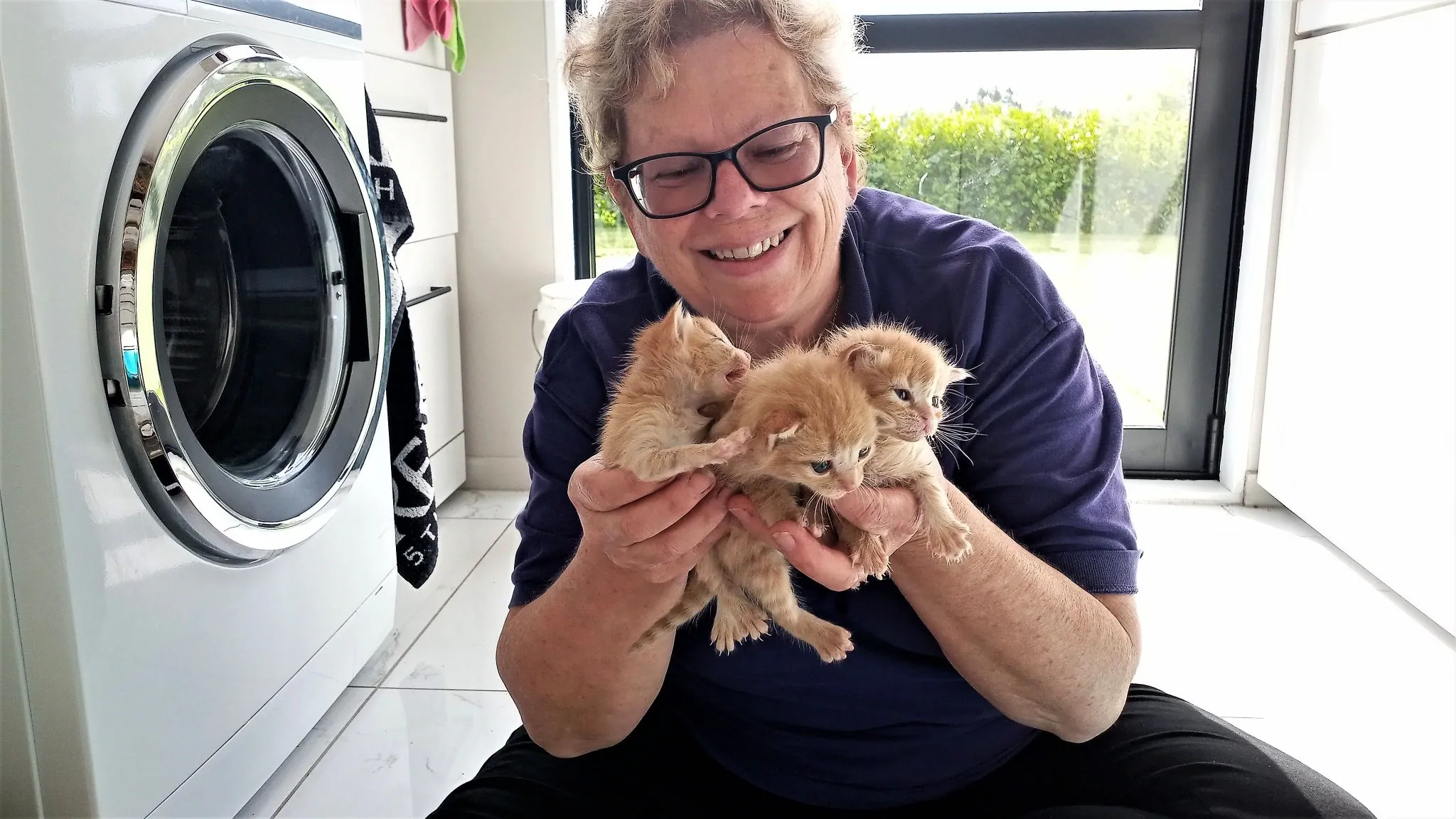 J31 kittens n carrots casaurina drive  (2)